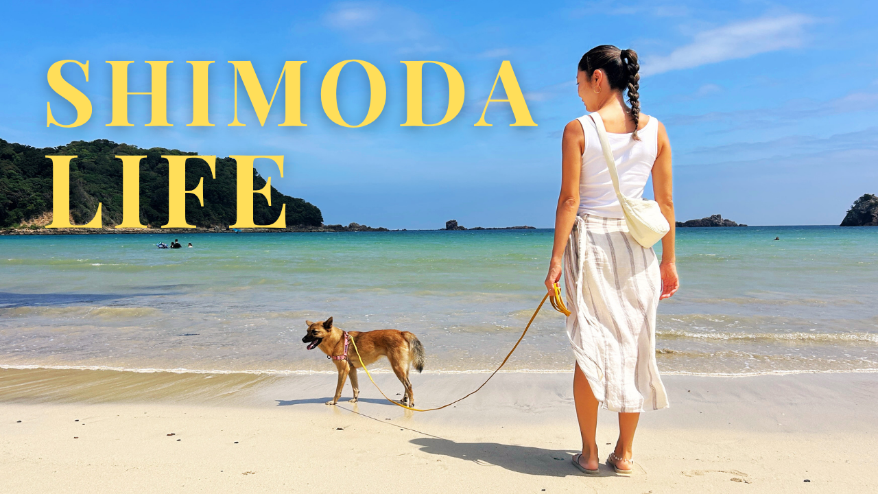 外浦の浜辺を愛犬と歩くようす